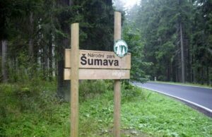 Šumavský park obnovil díky EU 13 mokřadů a rašelinišť ze 47 plánovaných