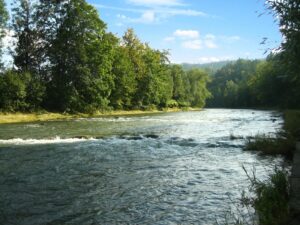 Ekologové: Závěry zprávy k Bečvě nejsou překvapivé, je ale dobře, že vznikla