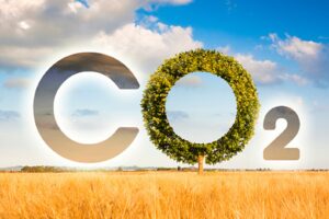 Znáte svou uhlíkovou stopu?