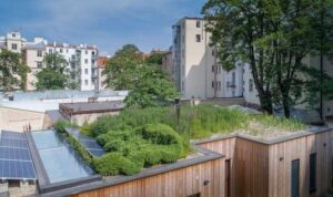 Brno dotacemi podpoří zelené střechy v hodnotě 50 milionů korun