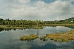 Šumavský park obnovil za dva roky díky dotacím EU mokřady na ploše 700 hektarů