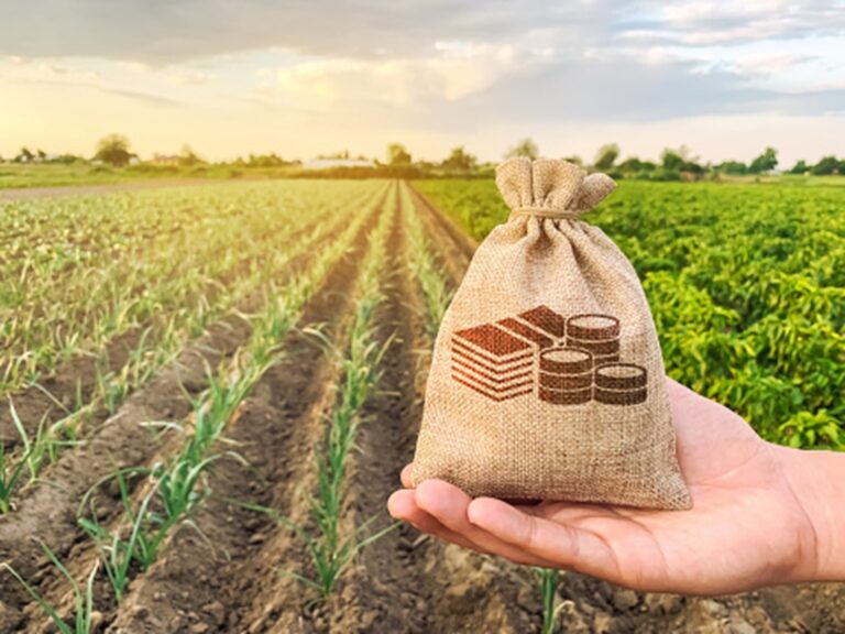 Státní zemědělský fond rozdělí 2,82 miliardy korun na trvalé travní porosty