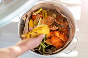 Na univerzitě vzniká plán, jak na sídlištích shromažďovat potravinový odpad