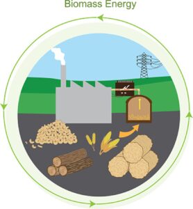 Sněmovna schválila změnu dokazování podmínek udržitelnosti u biomasy