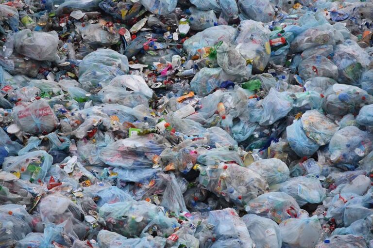 NKÚ: V Česku se nemění nakládání s odpady, dál převládá nevhodné skládkování