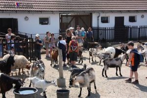 Zoopark Vyškov zmodernizuje expozici vodní drůbeže, přibudou vodní plochy