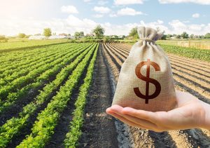 Ekologové: Zemědělské dotace neřeší hlavní problémy životního prostředí